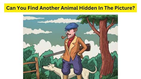 Can you find a four.
